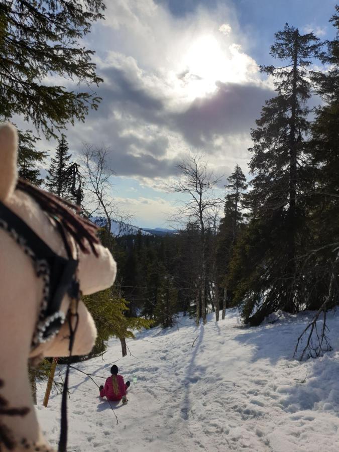 Rukavalley Unique46 Ski In - Ski Out Εξωτερικό φωτογραφία